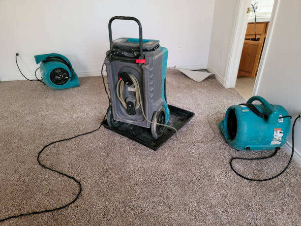 Best 24/7 water damage repair  in Calhoun Falls, SC