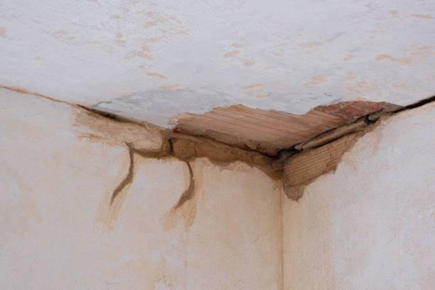 Best Water damage restoration near me  in Calhoun Falls, SC
