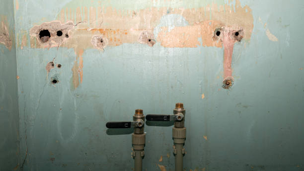 Best 24-hour water damage restoration  in Calhoun Falls, SC