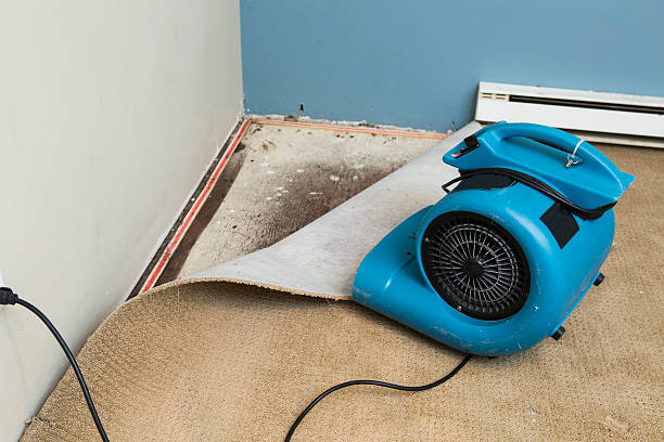 Best Residential water damage restoration  in Calhoun Falls, SC