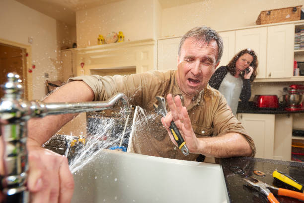 Best Basement water damage restoration  in Calhoun Falls, SC